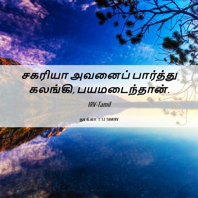 Picture 06 - லூக்கா 1:12 TAMIRV - சகரியா அவனைப் - Bible Verse Picture