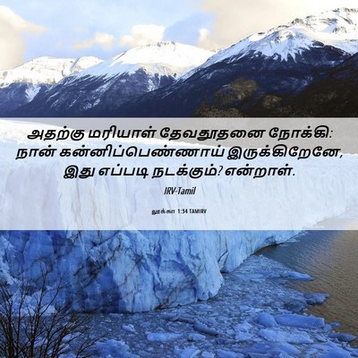 Picture 06 - லூக்கா 1:34 TAMIRV - அதற்கு மரியாள் - Bible Verse Picture