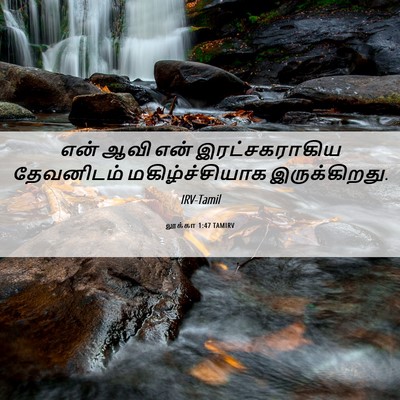 Picture 06 - லூக்கா 1:47 TAMIRV - என் ஆவி என் - Bible Verse Picture