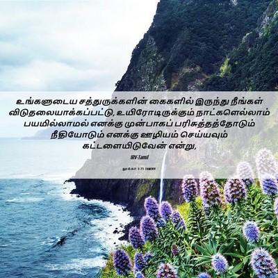 Picture 06 - லூக்கா 1:71 TAMIRV - உங்களுடைய - Bible Verse Picture