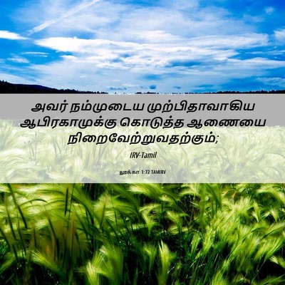 Picture 06 - லூக்கா 1:72 TAMIRV - அவர் நம்முடைய - Bible Verse Picture