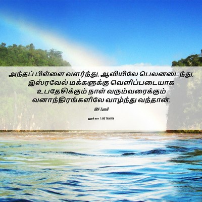 Picture 06 - லூக்கா 1:80 TAMIRV - அந்தப் பிள்ளை - Bible Verse Picture
