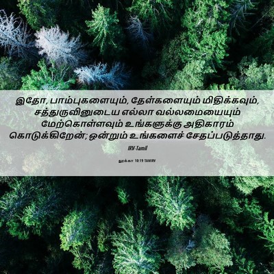 Picture 06 - லூக்கா 10:19 TAMIRV - இதோ, - Bible Verse Picture