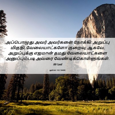 Picture 06 - லூக்கா 10:2 TAMIRV - அப்பொழுது அவர் - Bible Verse Picture