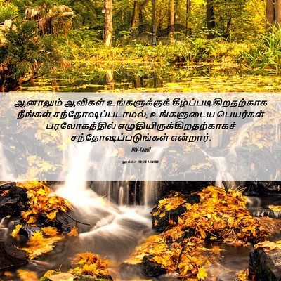 Picture 06 - லூக்கா 10:20 TAMIRV - ஆனாலும் ஆவிகள் - Bible Verse Picture