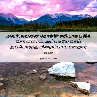 Picture 06 - லூக்கா 10:28 TAMIRV - அவர் அவனை நோக்கி: - Bible Verse Picture