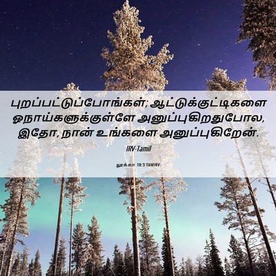 Picture 06 - லூக்கா 10:3 TAMIRV -  - Bible Verse Picture