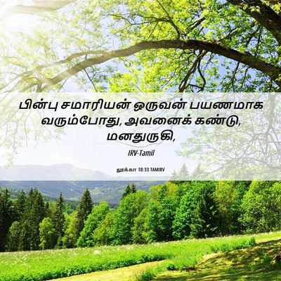 Picture 06 - லூக்கா 10:33 TAMIRV - பின்பு சமாரியன் - Bible Verse Picture