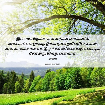 Picture 06 - லூக்கா 10:36 TAMIRV - இப்படியிருக்க, - Bible Verse Picture