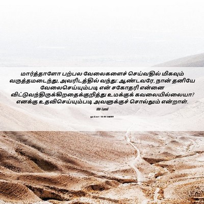 Picture 06 - லூக்கா 10:40 TAMIRV - மார்த்தாளோ பற்பல - Bible Verse Picture