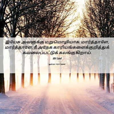 Picture 06 - லூக்கா 10:41 TAMIRV - இயேசு அவளுக்கு - Bible Verse Picture