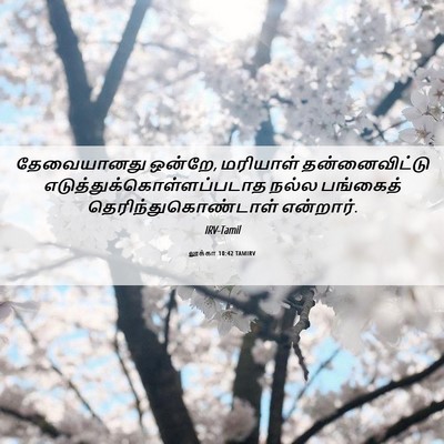 Picture 06 - லூக்கா 10:42 TAMIRV - தேவையானது ஒன்றே, - Bible Verse Picture
