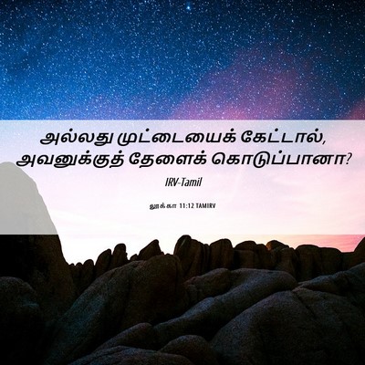 Picture 06 - லூக்கா 11:12 TAMIRV - அல்லது முட்டையைக் - Bible Verse Picture