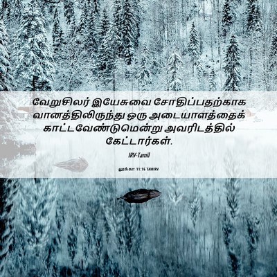 Picture 06 - லூக்கா 11:16 TAMIRV - வேறுசிலர் இயேசுவை - Bible Verse Picture