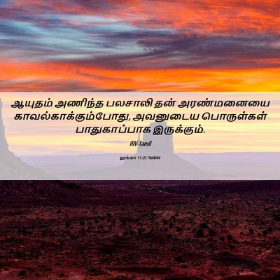 Picture 06 - லூக்கா 11:21 TAMIRV - ஆயுதம் அணிந்த - Bible Verse Picture