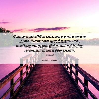 Picture 06 - லூக்கா 11:30 TAMIRV - யோனா நினிவே - Bible Verse Picture