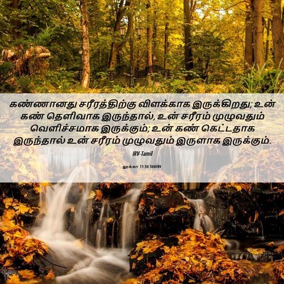 Picture 06 - லூக்கா 11:34 TAMIRV - கண்ணானது - Bible Verse Picture