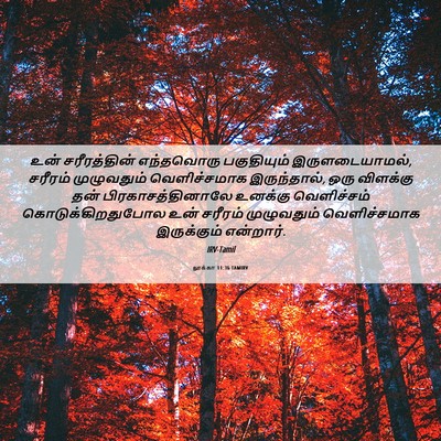 Picture 06 - லூக்கா 11:36 TAMIRV - உன் சரீரத்தின் - Bible Verse Picture