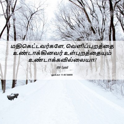 Picture 06 - லூக்கா 11:40 TAMIRV - மதிகெட்டவர்களே, - Bible Verse Picture