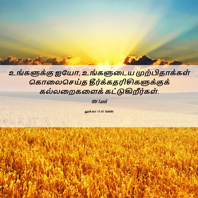 Picture 06 - லூக்கா 11:47 TAMIRV - உங்களுக்கு ஐயோ, - Bible Verse Picture