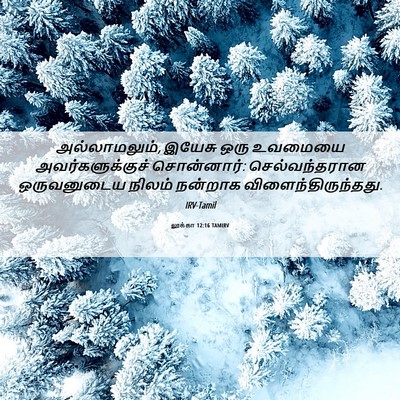 Picture 06 - லூக்கா 12:16 TAMIRV - அல்லாமலும், இயேசு - Bible Verse Picture