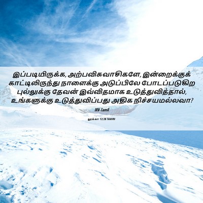 Picture 06 - லூக்கா 12:28 TAMIRV - இப்படியிருக்க, - Bible Verse Picture