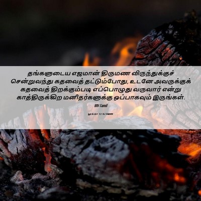 Picture 06 - லூக்கா 12:36 TAMIRV - தங்களுடைய எஜமான் - Bible Verse Picture