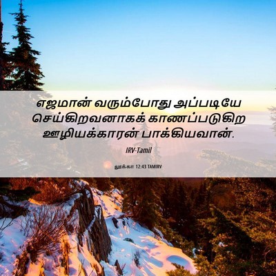 Picture 06 - லூக்கா 12:43 TAMIRV - எஜமான் வரும்போது - Bible Verse Picture