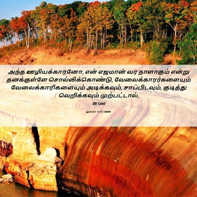 Picture 06 - லூக்கா 12:45 TAMIRV - அந்த ஊழியக்காரனோ, - Bible Verse Picture