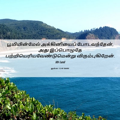 Picture 06 - லூக்கா 12:49 TAMIRV - பூமியின்மேல் - Bible Verse Picture