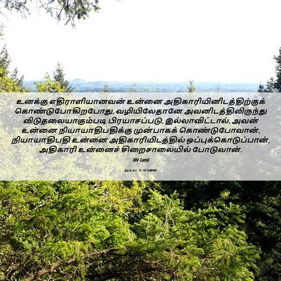 Picture 06 - லூக்கா 12:58 TAMIRV - உனக்கு - Bible Verse Picture