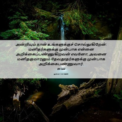 Picture 06 - லூக்கா 12:8 TAMIRV - அன்றியும் நான் - Bible Verse Picture