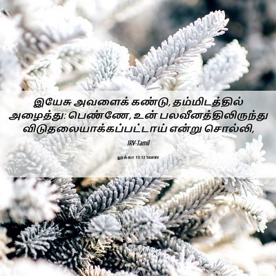 Picture 06 - லூக்கா 13:12 TAMIRV - இயேசு அவளைக் - Bible Verse Picture