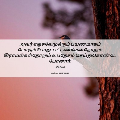 Picture 06 - லூக்கா 13:22 TAMIRV - அவர் - Bible Verse Picture
