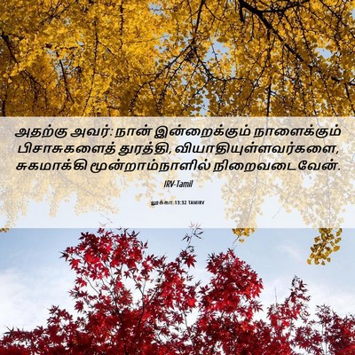 Picture 06 - லூக்கா 13:32 TAMIRV - அதற்கு அவர்: நான் - Bible Verse Picture