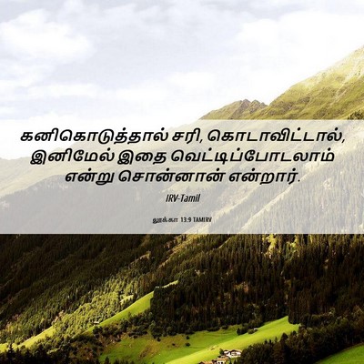 Picture 06 - லூக்கா 13:9 TAMIRV - கனிகொடுத்தால் - Bible Verse Picture