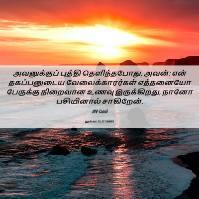 Picture 06 - லூக்கா 15:17 TAMIRV - அவனுக்குப் புத்தி - Bible Verse Picture