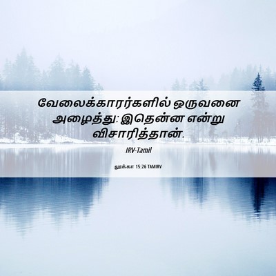 Picture 06 - லூக்கா 15:26 TAMIRV - வேலைக்காரர்களில் - Bible Verse Picture