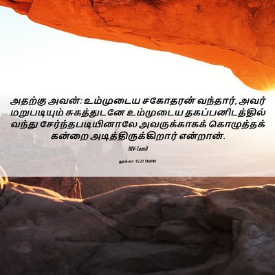 Picture 06 - லூக்கா 15:27 TAMIRV - அதற்கு அவன்: - Bible Verse Picture