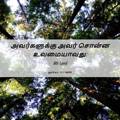 Picture 06 - லூக்கா 15:3 TAMIRV - அவர்களுக்கு அவர் - Bible Verse Picture