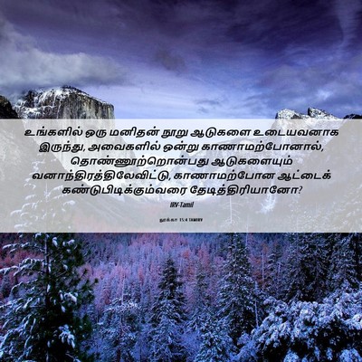 Picture 06 - லூக்கா 15:4 TAMIRV - உங்களில் ஒரு - Bible Verse Picture