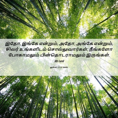 Picture 06 - லூக்கா 17:23 TAMIRV - இதோ, இங்கே என்றும், - Bible Verse Picture