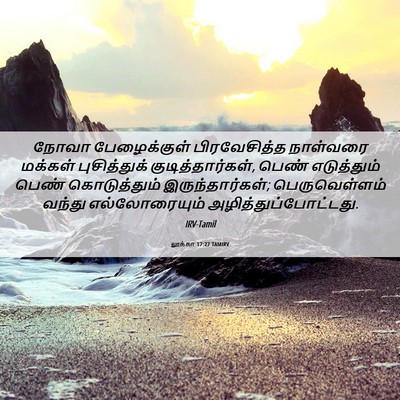 Picture 06 - லூக்கா 17:27 TAMIRV - நோவா பேழைக்குள் - Bible Verse Picture