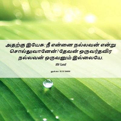 Picture 06 - லூக்கா 18:19 TAMIRV - அதற்கு இயேசு: நீ - Bible Verse Picture