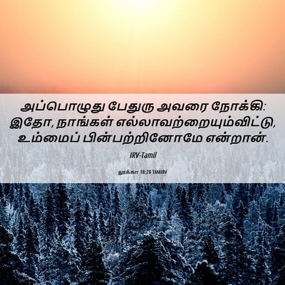 Picture 06 - லூக்கா 18:28 TAMIRV - அப்பொழுது பேதுரு - Bible Verse Picture