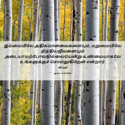 Picture 06 - லூக்கா 18:30 TAMIRV - இம்மையிலே - Bible Verse Picture