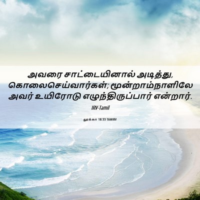 Picture 06 - லூக்கா 18:33 TAMIRV - அவரை சாட்டையினால் - Bible Verse Picture