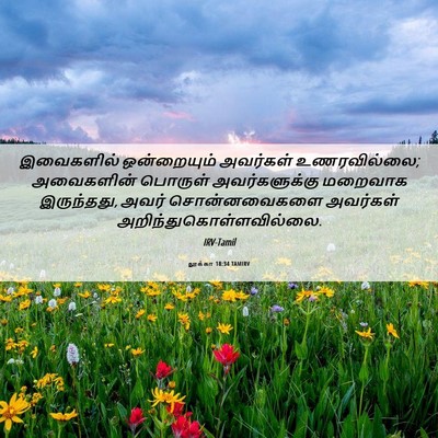 Picture 06 - லூக்கா 18:34 TAMIRV - இவைகளில் - Bible Verse Picture