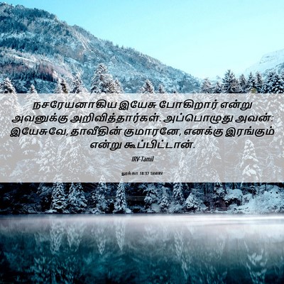 Picture 06 - லூக்கா 18:37 TAMIRV - நசரேயனாகிய இயேசு - Bible Verse Picture