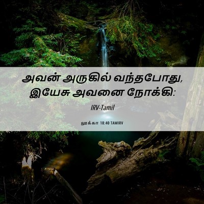 Picture 06 - லூக்கா 18:40 TAMIRV - அவன் அருகில் - Bible Verse Picture